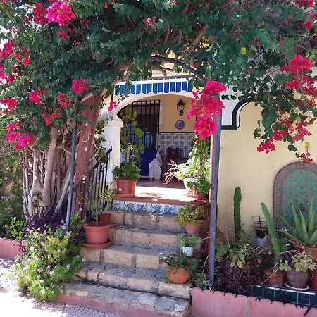 Andalousia * L'Alfas del Pi